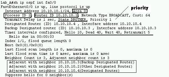 routing-protocols